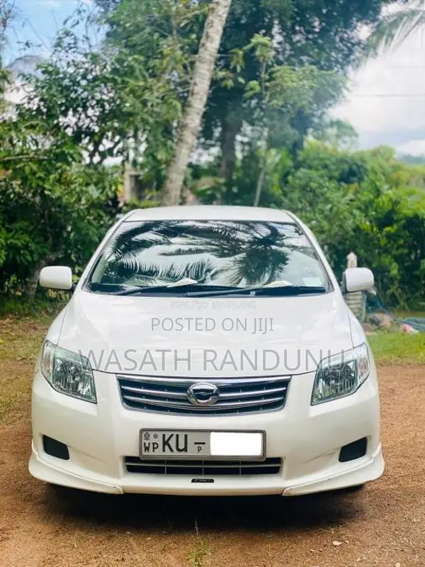 Toyota Axio 2010 Car (Used)