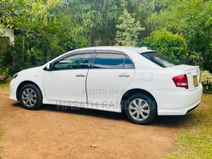 Toyota Axio 2010 Car (Used)