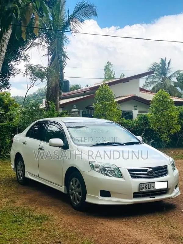 Toyota Axio 2010 Car (Used)