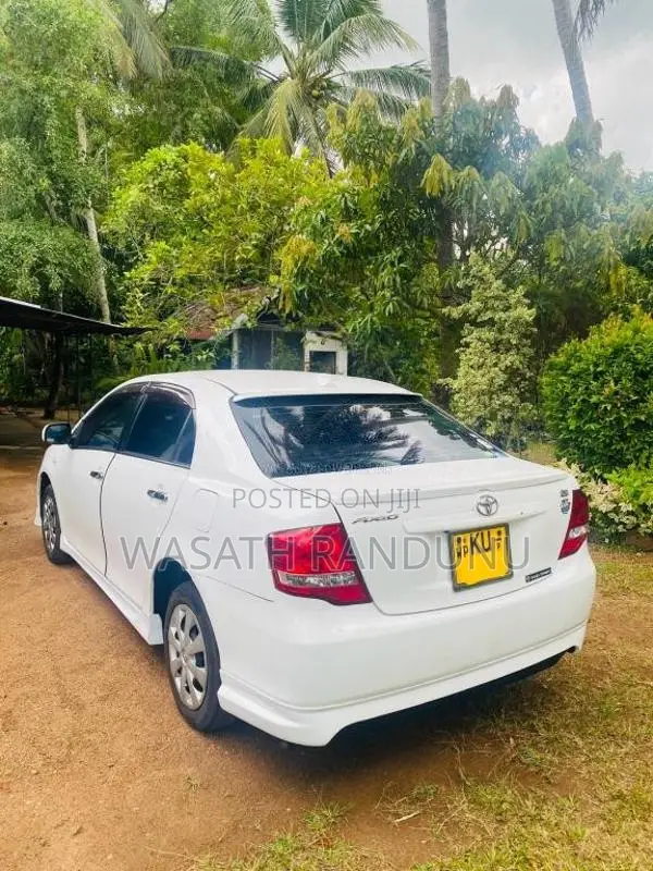 Toyota Axio 2010 Car (Used)
