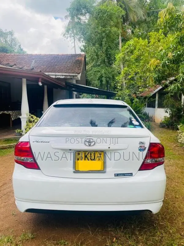 Toyota Axio 2010 Car (Used)