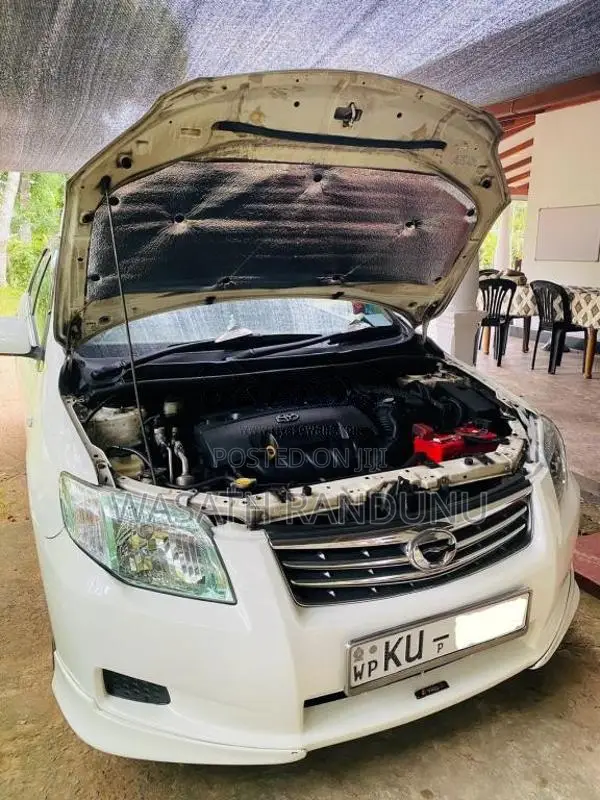 Toyota Axio 2010 Car (Used)