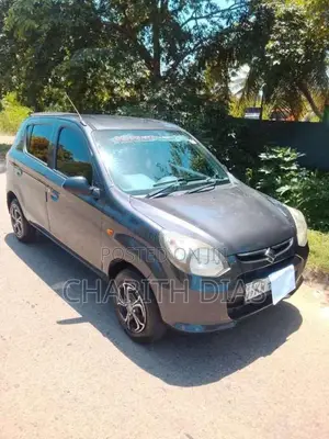 Suzuki Alto 2013 Car (Used)