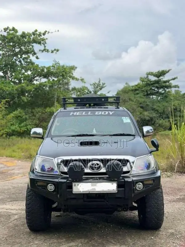 Toyota Hilux Vigo 2012 Pickup (Used)