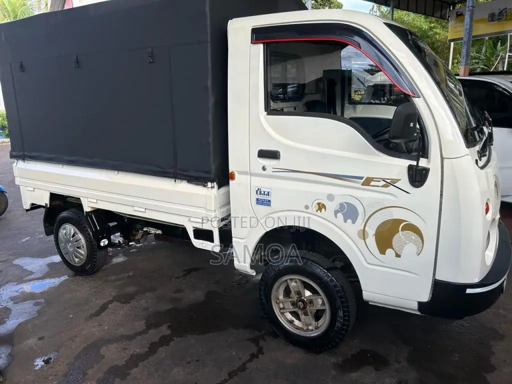 Tata Dimo Batta Ex 2012 Lorry (Used)