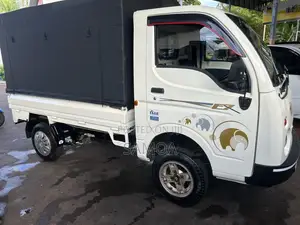 Tata Dimo Batta Ex 2012 Lorry (Used)