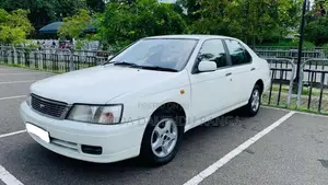 Nissan Bluebird 1998 Car (Used)
