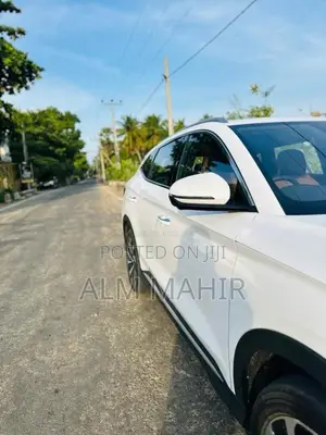BYD Sealion 6 2025 SUV (Used)