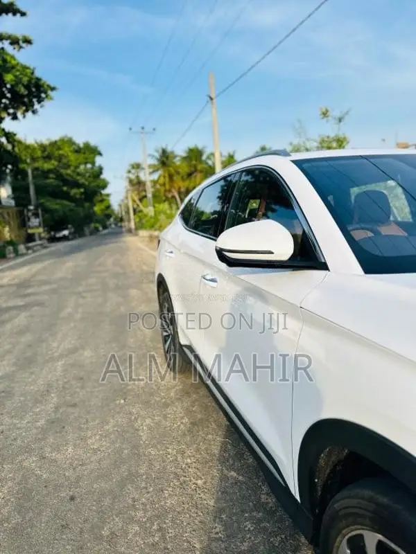 BYD Sealion 6 2025 SUV (Used)
