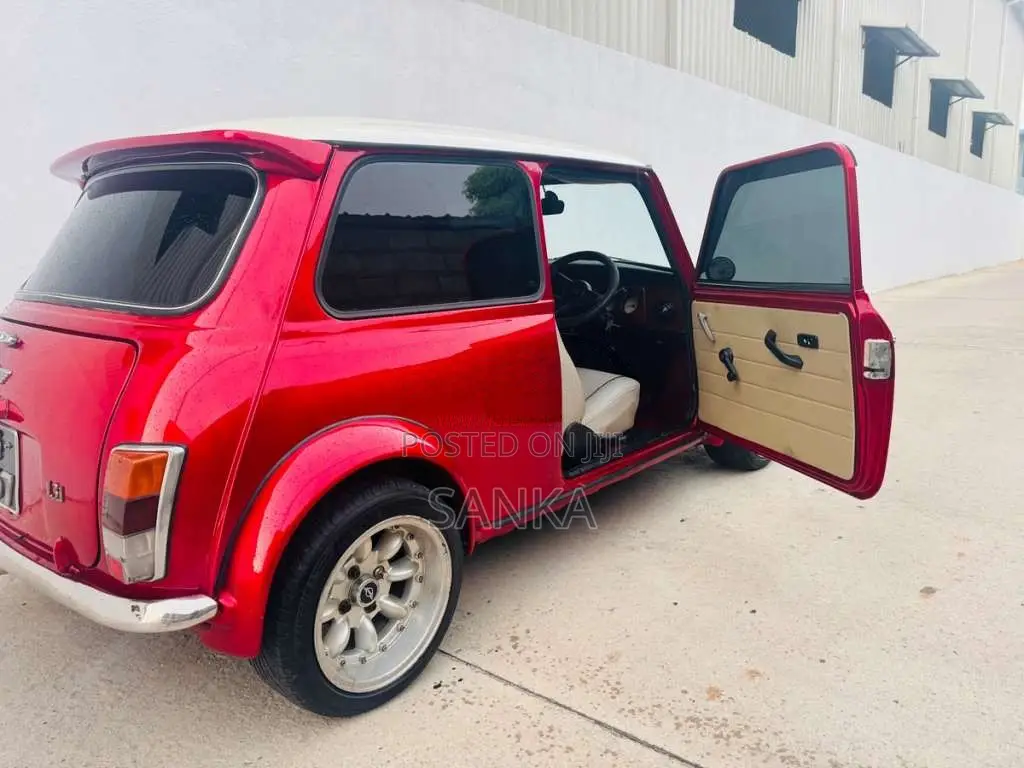 Mini Cooper 1994 Car (Used)