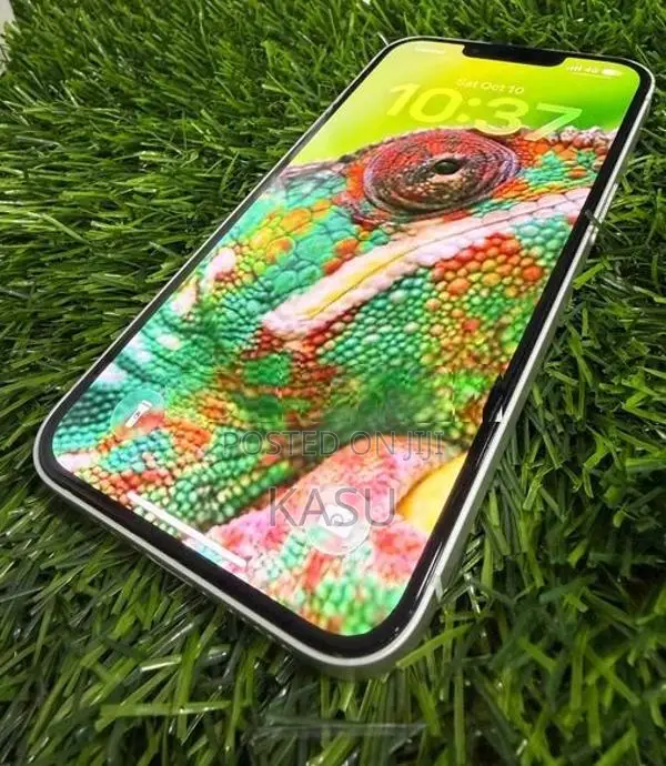 Apple iPhone 15 (Used)