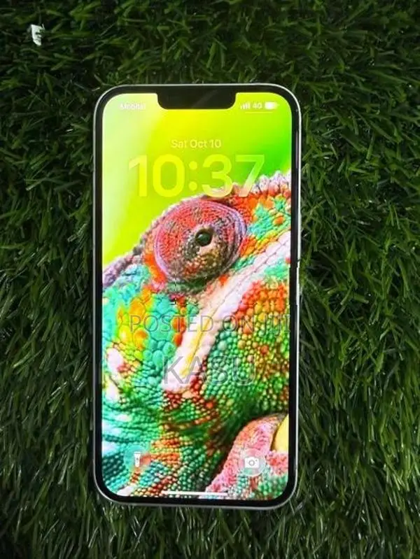 Apple iPhone 15 (Used)