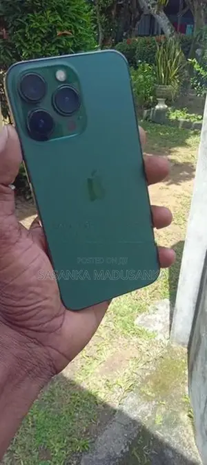 Apple iPhone 13 Pro 256GB (Used)