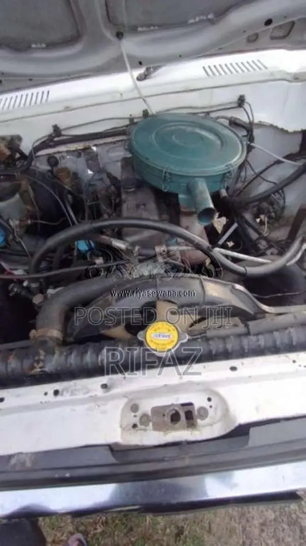 Nissan Datsun 1980 Pickup (Used)