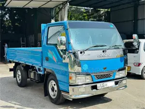 Isuzu ELF 2009 Lorry (Used)