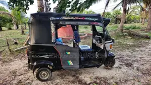 TVS King 2012 Three Wheel (Used)