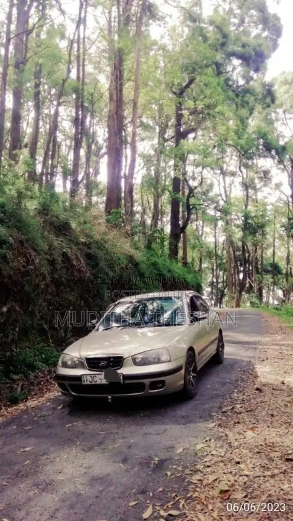 Hyundai Elantra 2001 Car (Used)
