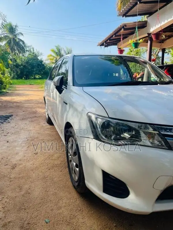 Toyota Axio 2015 Car (Used)