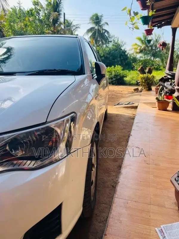 Toyota Axio 2015 Car (Used)