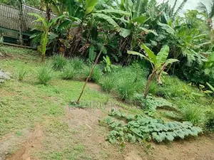 Land For Sale In Meegoda