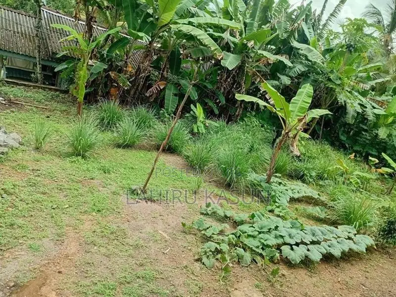 Land For Sale In Meegoda
