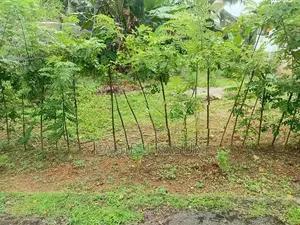 Land For Sale In Meegoda