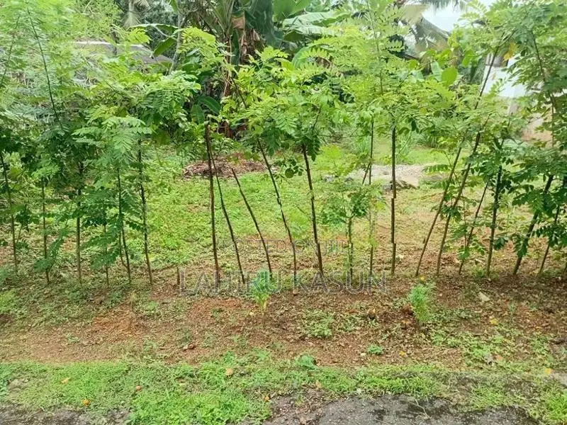 Land For Sale In Meegoda