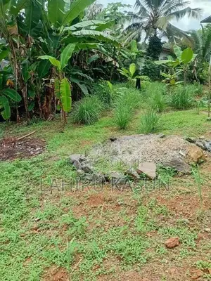 Land For Sale In Meegoda