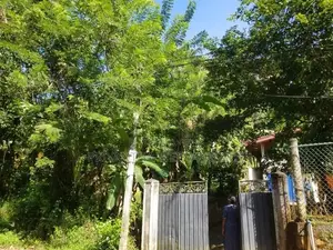 Land For Sale Mawathagama