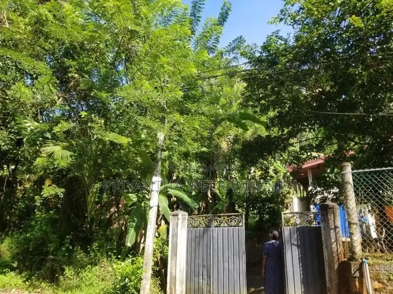 Land For Sale Mawathagama
