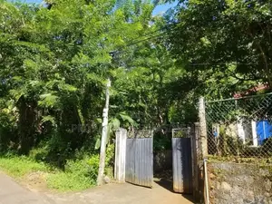 Land For Sale Mawathagama