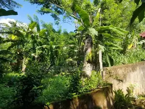 Land For Sale Mawathagama