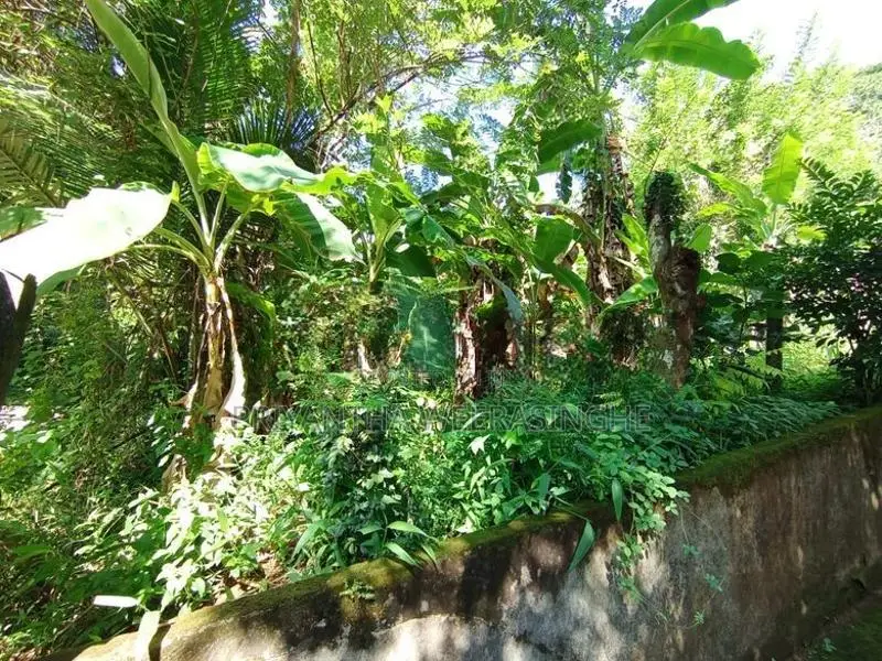 Land For Sale Mawathagama