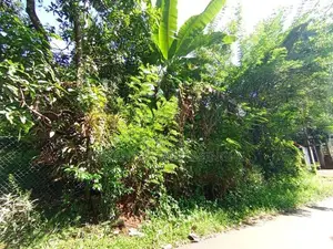 Land For Sale Mawathagama