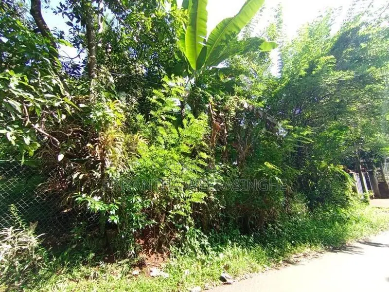 Land For Sale Mawathagama