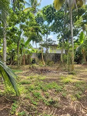 Superb 13 Perches Land for Sale in Bandaragama