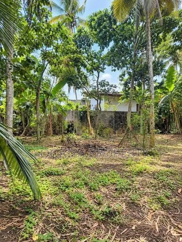 Superb 13 Perches Land for Sale in Bandaragama