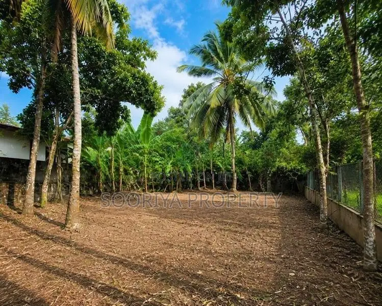 Superb 13 Perches Land for Sale in Bandaragama