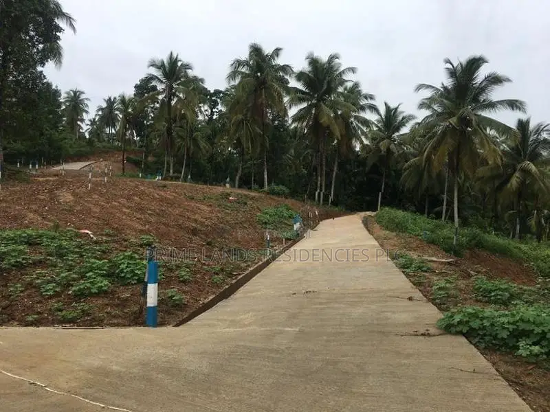 Lands for Sale in Madana, Rambukkana