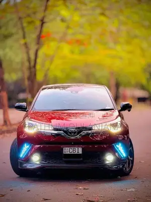 Toyota CHR NGX 10 2018 SUV (Used)