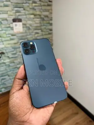 Apple iPhone 12 Pro Max 256GB (Used)