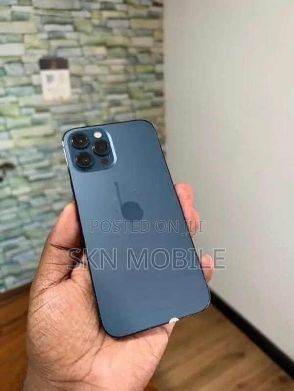 Apple iPhone 12 Pro Max 256GB (Used)