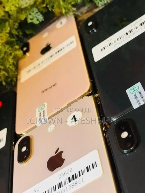 Apple iPhone XS 256GB (Used)