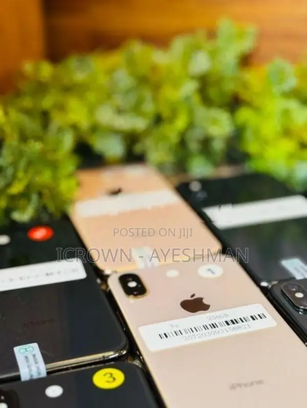 Apple iPhone XS 256GB (Used)