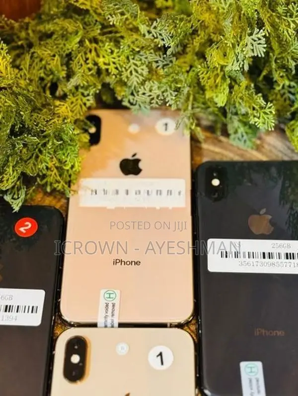 Apple iPhone XS 256GB (Used)