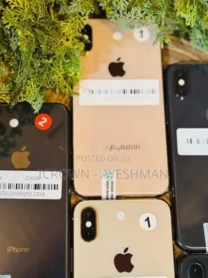 Apple iPhone XS 256GB (Used)
