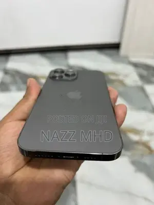 Apple iPhone 13 Pro Max (Used)