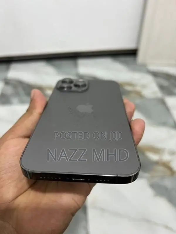Apple iPhone 13 Pro Max (Used)