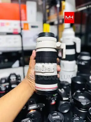 Canon EF 70.200mm f4L IS Lens