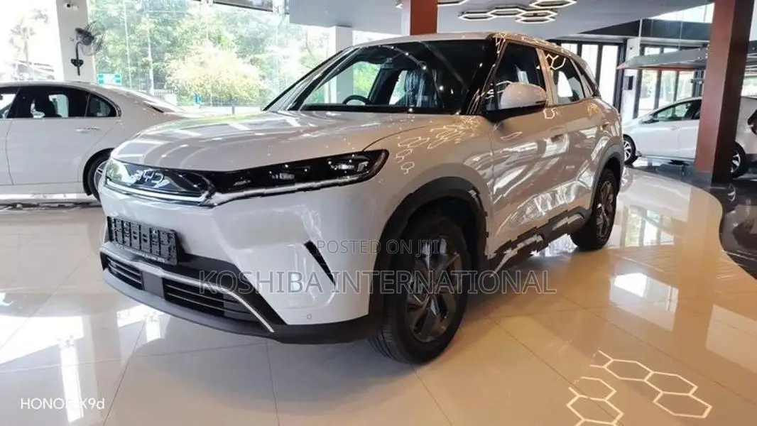 BYD ATTO 2 Premium 2026